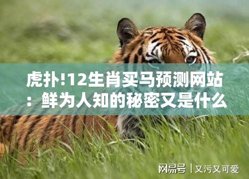 虎扑!12生肖买马预测网站：鲜为人知的秘密又是什么？专业作答落实解释
