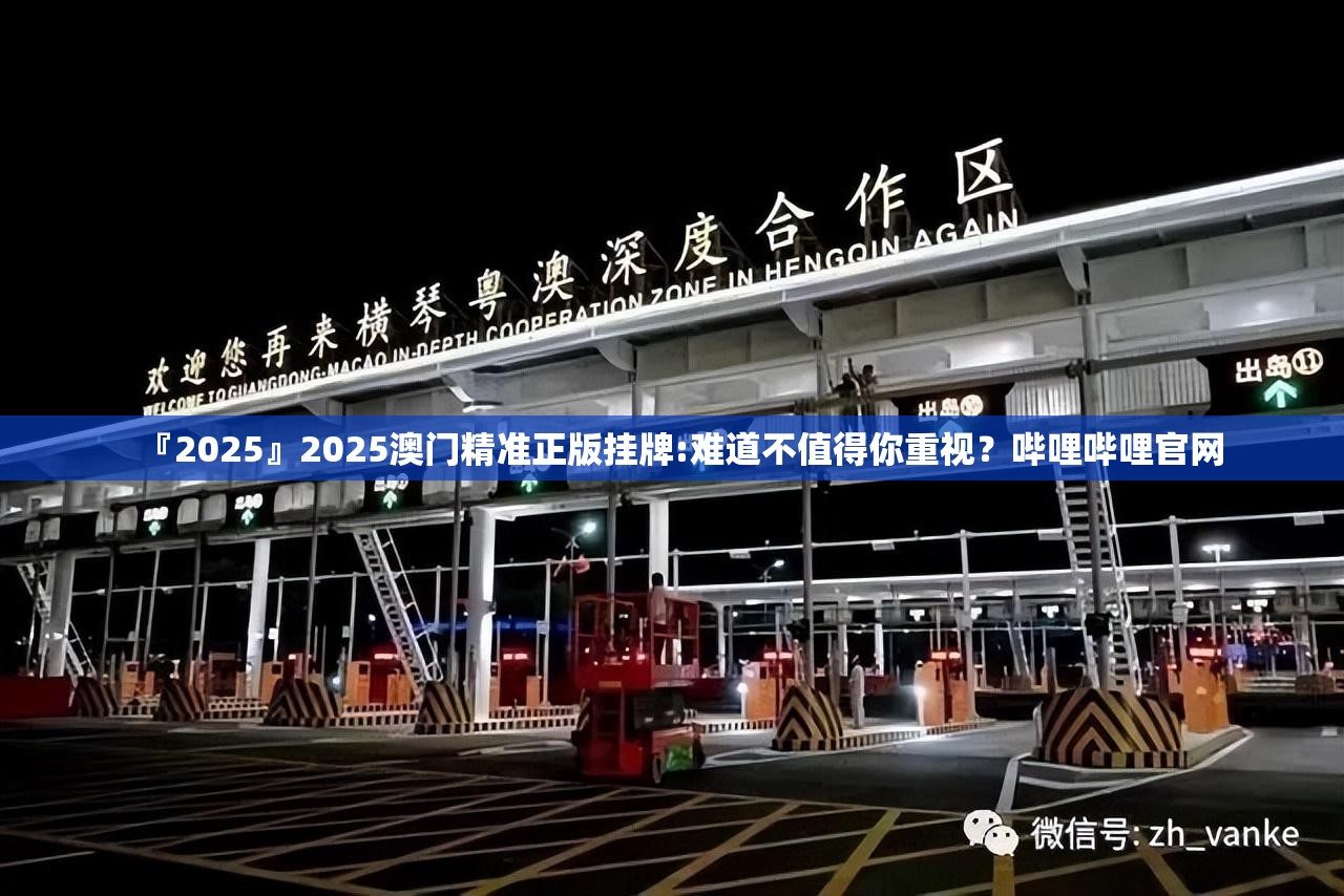 『2025』2025澳门精准正版挂牌:难道不值得你重视？哔哩哔哩官网