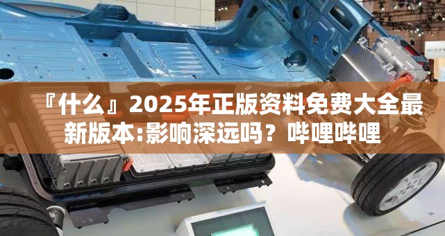 『什么』2025年正版资料免费大全最新版本:影响深远吗？哔哩哔哩