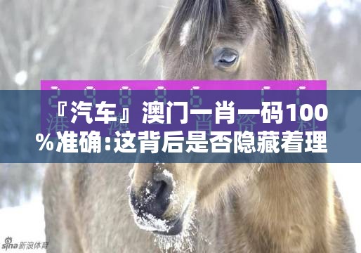 『汽车』澳门一肖一码100%准确:这背后是否隐藏着理想？讨论作答落实解释