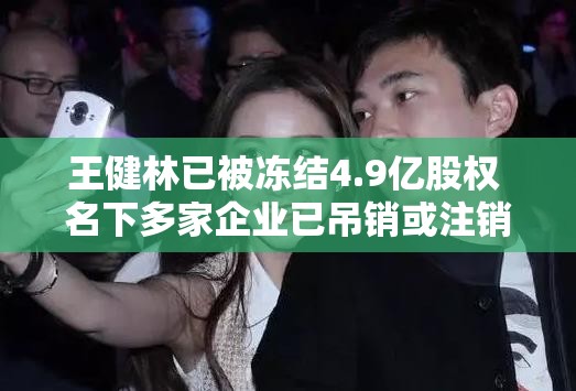 王健林已被冻结4.9亿股权 名下多家企业已吊销或注销