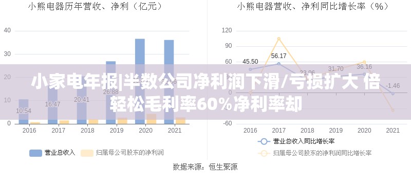 小家电年报|半数公司净利润下滑/亏损扩大 倍轻松毛利率60%净利率却