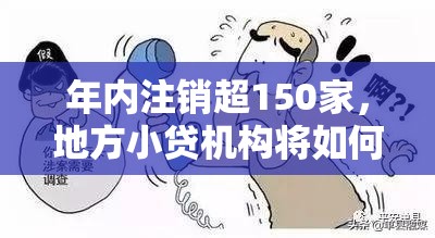 年内注销超150家，地方小贷机构将如何求生？