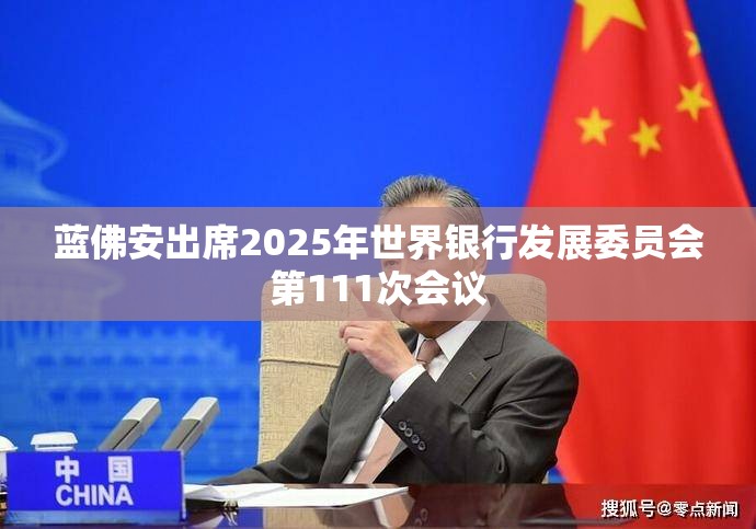 蓝佛安出席2025年世界银行发展委员会第111次会议