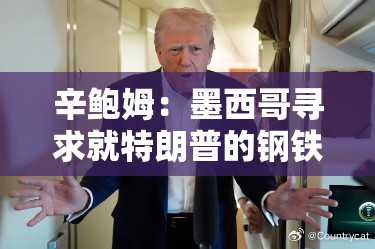 辛鲍姆：墨西哥寻求就特朗普的钢铁和汽车关税进行磋商