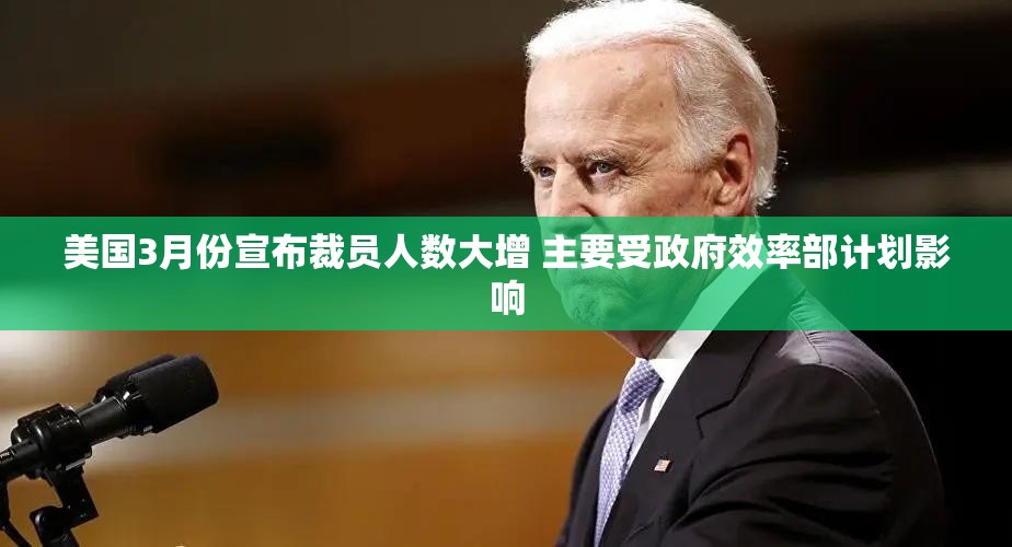 美国3月份宣布裁员人数大增 主要受政府效率部计划影响