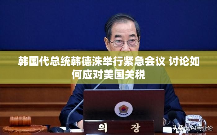 韩国代总统韩德洙举行紧急会议 讨论如何应对美国关税