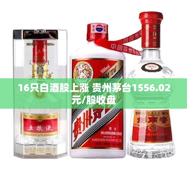 16只白酒股上涨 贵州茅台1556.02元/股收盘