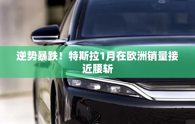 逆势暴跌！特斯拉1月在欧洲销量接近腰斩